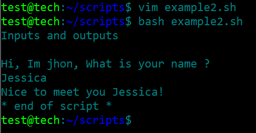 Bash Script Example: Learn Basic Scripting With Ease