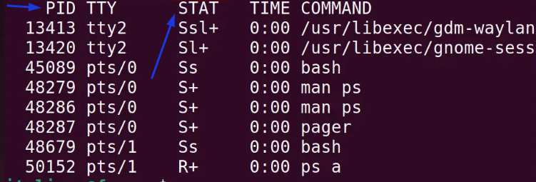 Using the ps command in Linux with the "a" feature