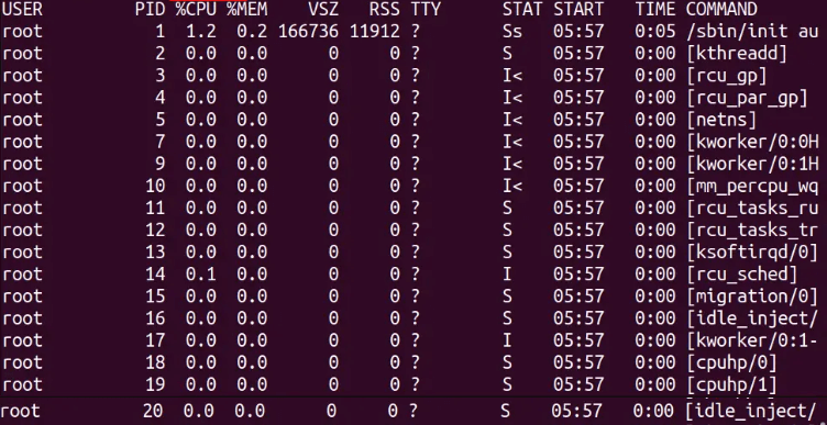 ps aux command used in Linux with full format listing