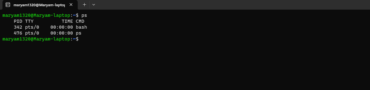 ps command